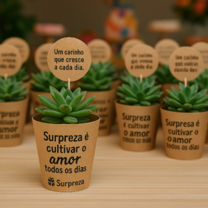 Mini Suculentas Personalizadas